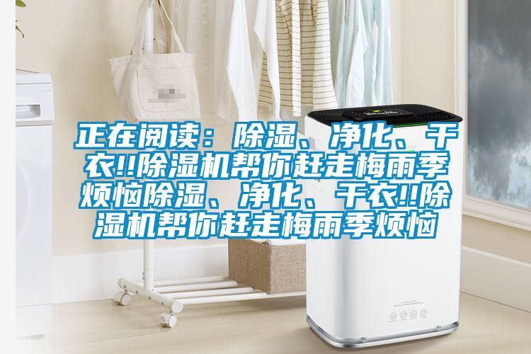 正在阅读：除湿、净化、干衣!!除湿机帮你赶走梅雨季烦恼除湿、净化、干衣!!除湿机帮你赶走梅雨季烦恼