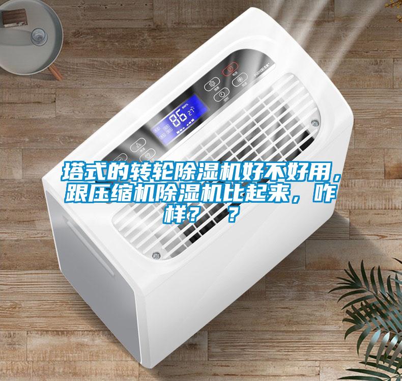塔式的转轮除湿机好不好用，跟压缩机除湿机比起来，咋样？ ？