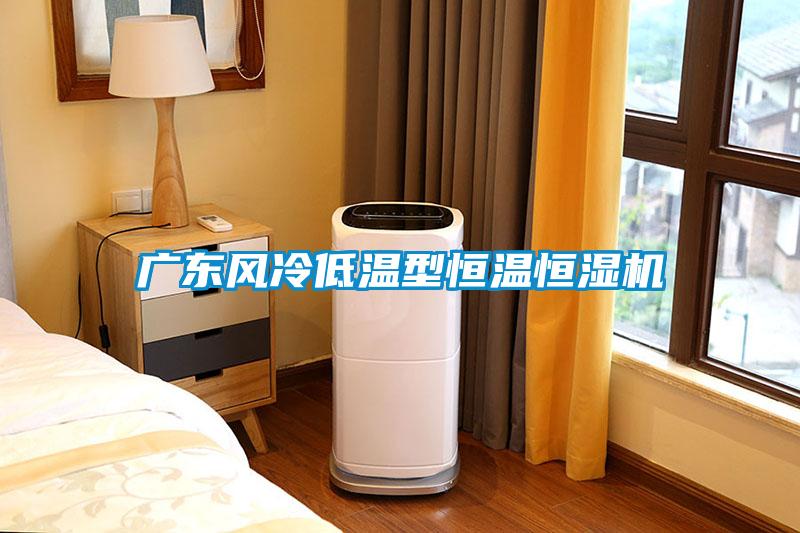 广东风冷低温型恒温恒湿机