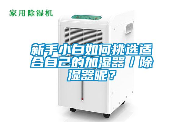 新手小白如何挑选适合自己的加湿器／除湿器呢？