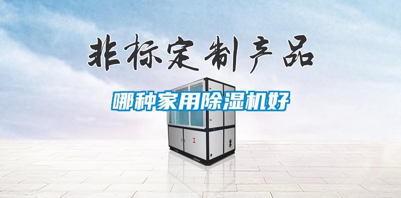 哪种家用除湿机好