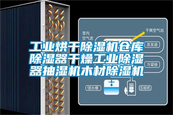 工业烘干除湿机仓库除湿器干燥工业除湿器抽湿机木材除湿机