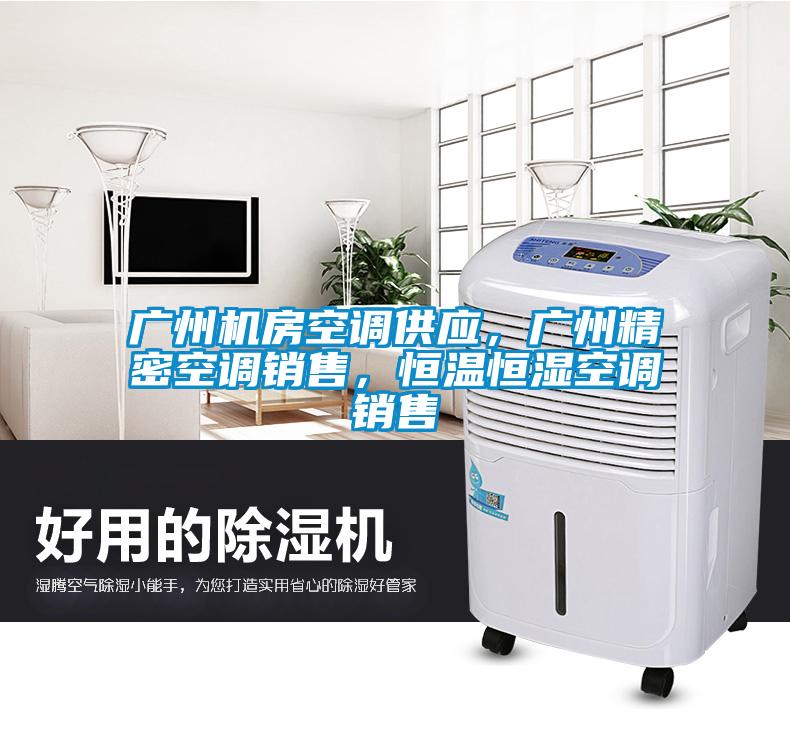 广州机房空调供应，广州精密空调销售，恒温恒湿空调销售