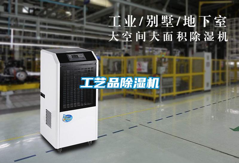 工艺品除湿机