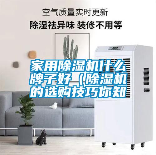 家用除湿机什么牌子好（除湿机的选购技巧你知