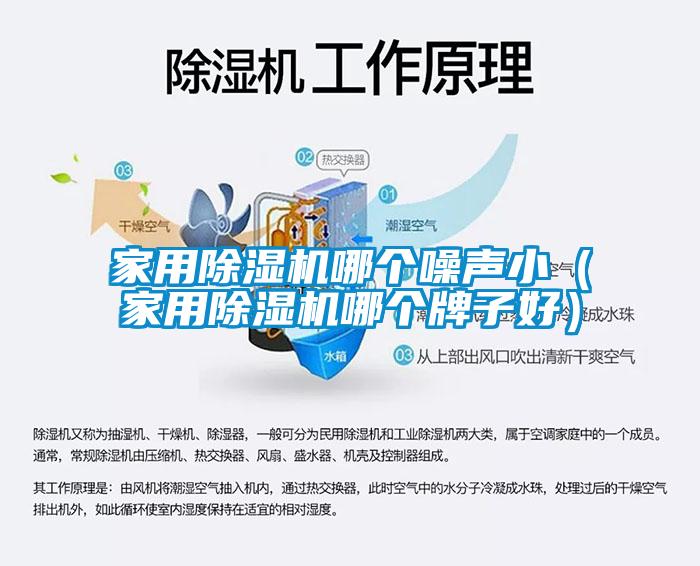家用除湿机哪个噪声小（家用除湿机哪个牌子好）