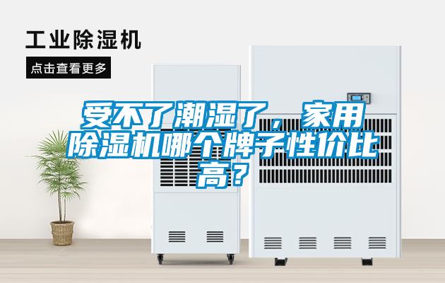 受不了潮湿了，家用除湿机哪个牌子性价比高？