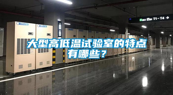 大型高低温试验室的特点有哪些？
