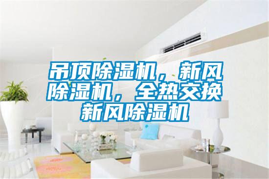 吊顶除湿机，新风除湿机，全热交换新风除湿机