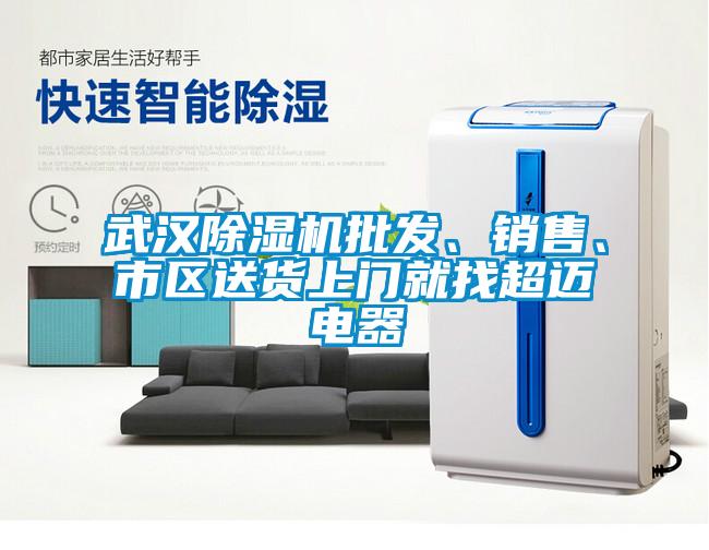 武汉除湿机批发、销售、市区送货上门就找超迈电器