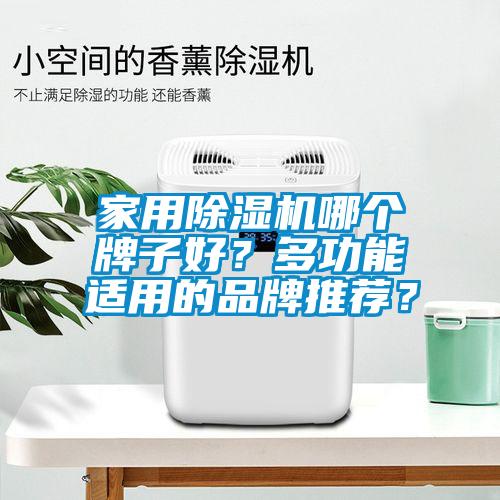 家用除湿机哪个牌子好？多功能适用的品牌推荐？