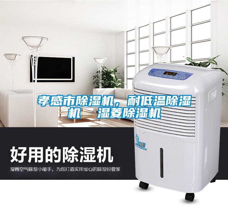 孝感市除湿机，耐低温除湿机  湿菱除湿机