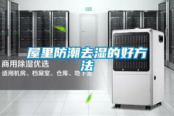 屋里防潮去湿的好方法