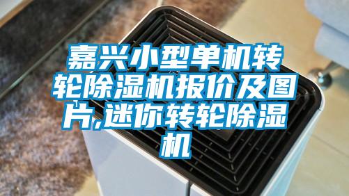 嘉兴小型单机转轮除湿机报价及图片,迷你转轮除湿机