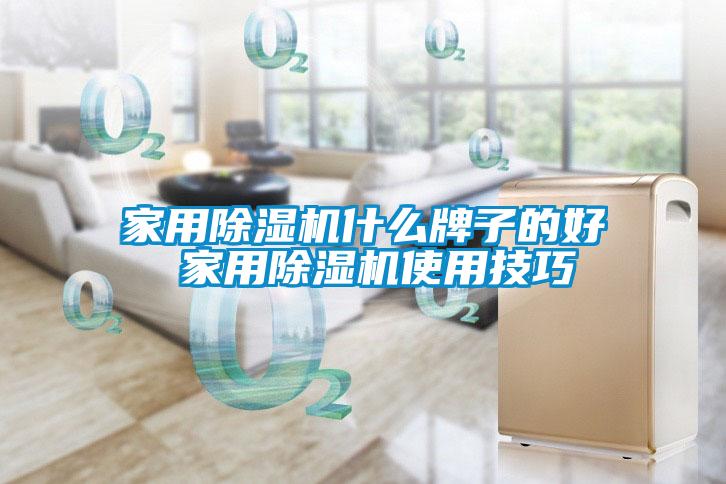 家用除湿机什么牌子的好 家用除湿机使用技巧