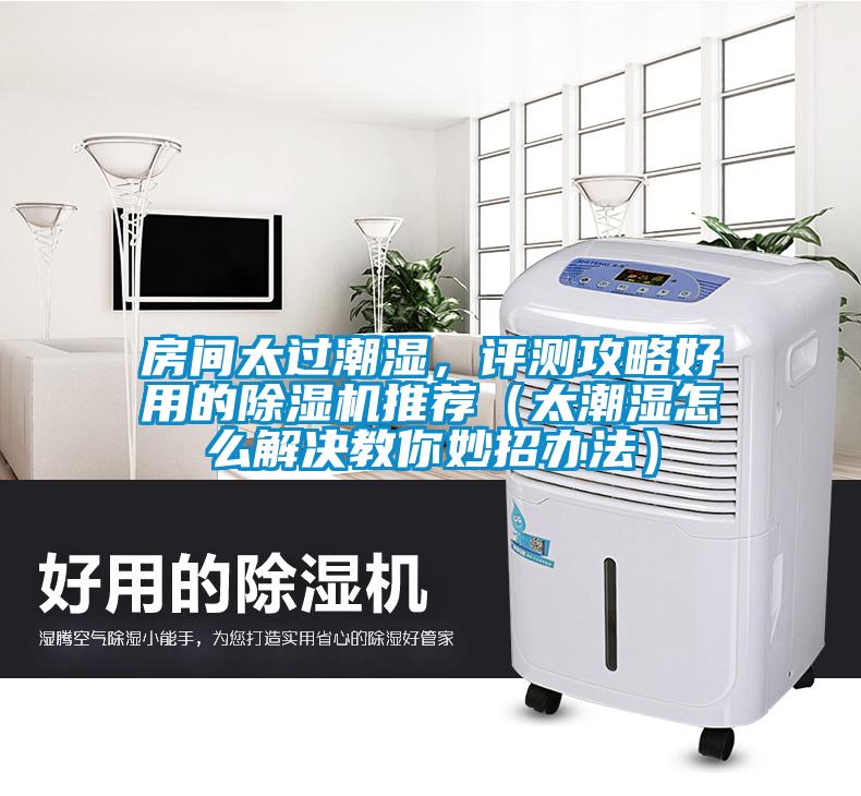 房间太过潮湿，评测攻略好用的除湿机推荐（太潮湿怎么解决教你妙招办法）