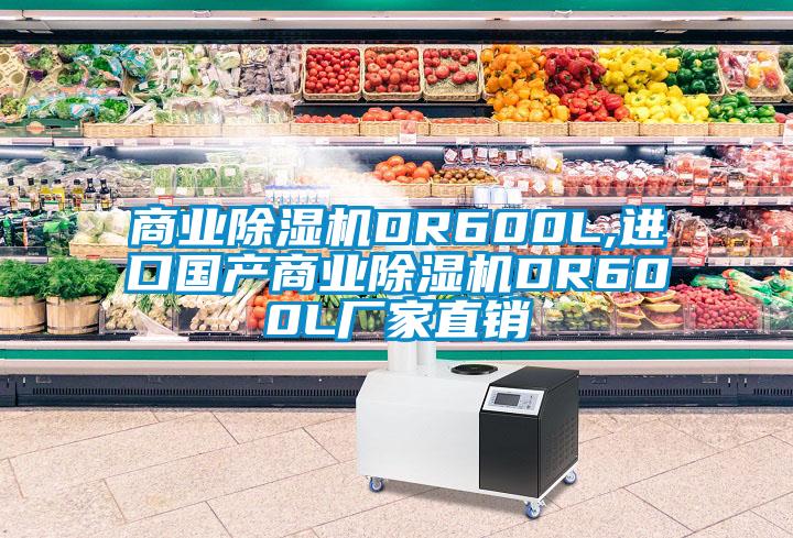 商业除湿机DR600L,进口国产商业除湿机DR600L厂家直销