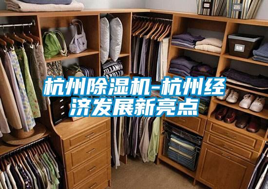 杭州除湿机-杭州经济发展新亮点