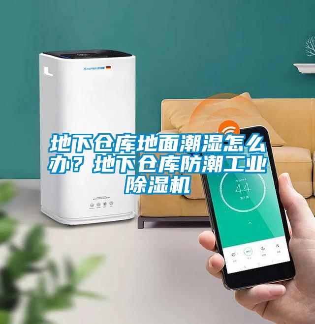 地下仓库地面潮湿怎么办？地下仓库防潮工业除湿机