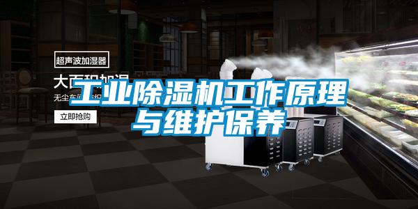 工业除湿机工作原理与维护保养