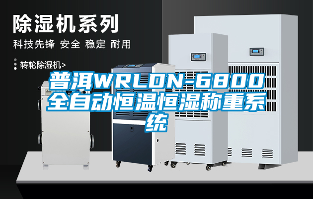 普洱WRLDN-6800全自动恒温恒湿称重系统