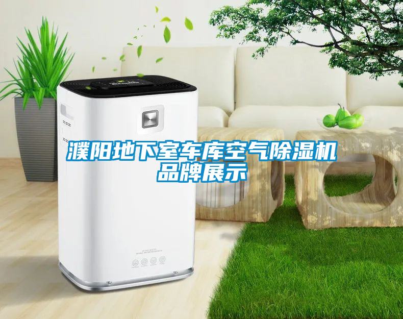 濮阳地下室车库空气除湿机品牌展示