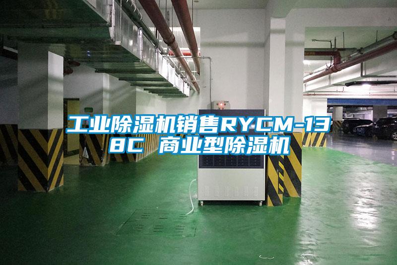 工业除湿机销售RYCM-138C 商业型除湿机