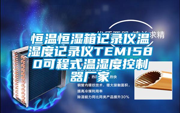 恒温恒湿箱记录仪温湿度记录仪TEMI580可程式温湿度控制器厂家
