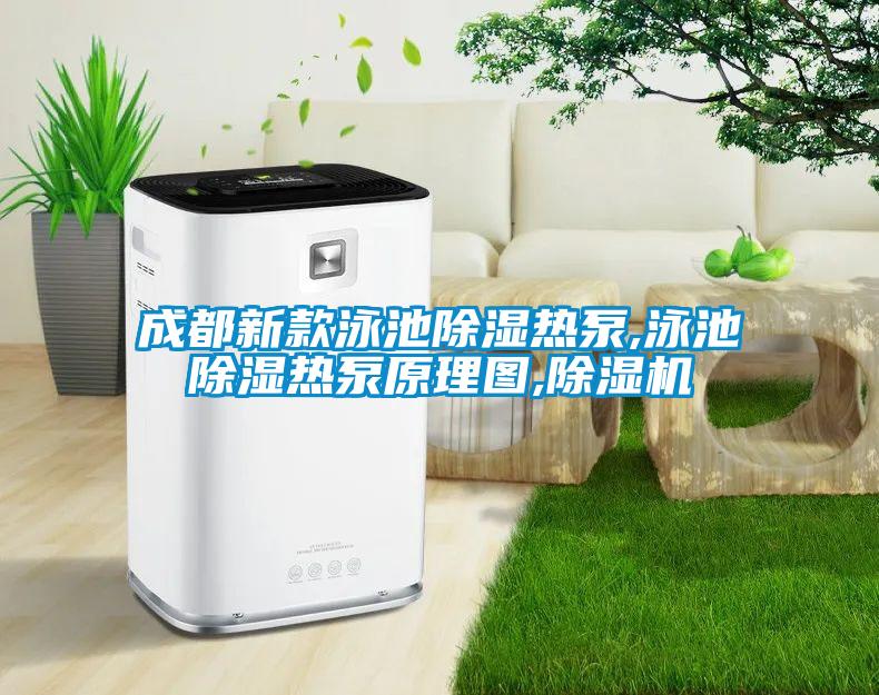 成都新款泳池除湿热泵,泳池除湿热泵原理图,除湿机