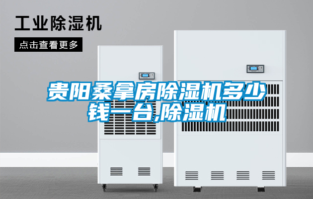 贵阳桑拿房除湿机多少钱一台,除湿机