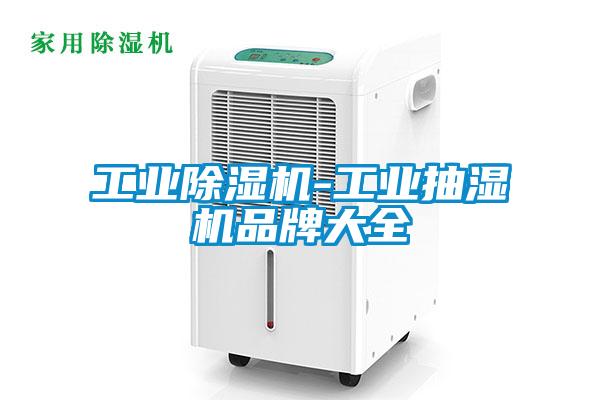 工业除湿机-工业抽湿机品牌大全