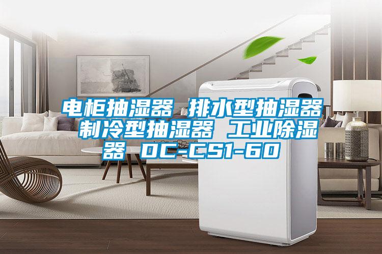 电柜抽湿器 排水型抽湿器 制冷型抽湿器 工业除湿器 DC-CS1-60