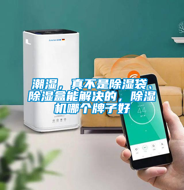 潮湿，真不是除湿袋、除湿盒能解决的，除湿机哪个牌子好