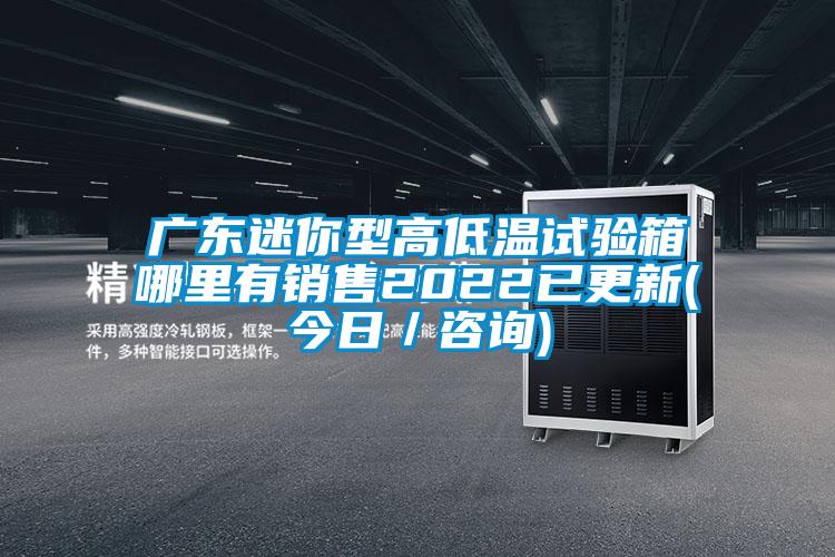 广东迷你型高低温试验箱哪里有销售2022已更新(今日／咨询)