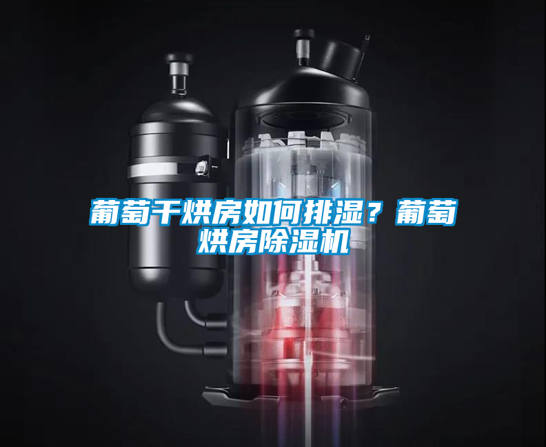 葡萄干烘房如何排湿？葡萄烘房除湿机