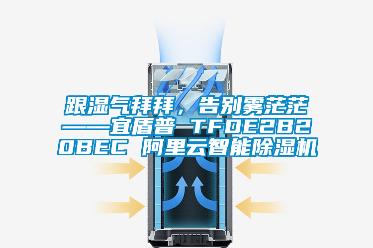 跟湿气拜拜，告别雾茫茫——宜盾普 TFDE2B20BEC 阿里云智能除湿机