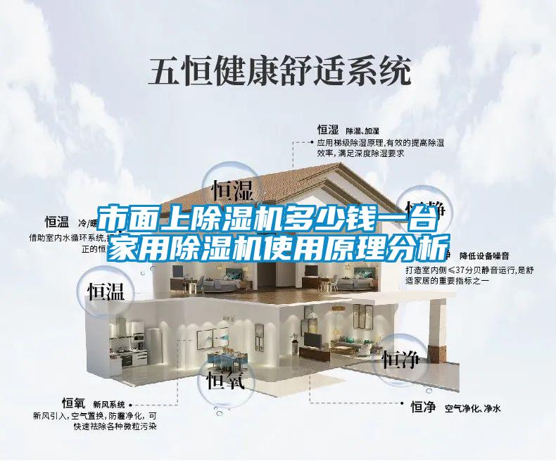 市面上除湿机多少钱一台 家用除湿机使用原理分析