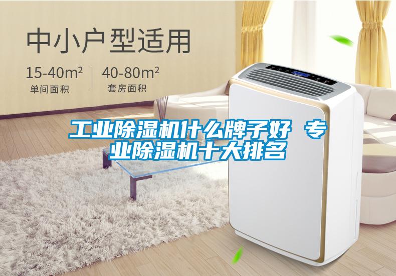 工业除湿机什么牌子好 专业除湿机十大排名