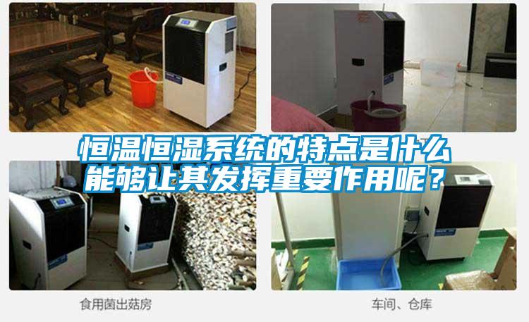 恒温恒湿系统的特点是什么能够让其发挥重要作用呢？