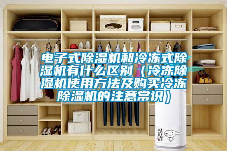 电子式除湿机和冷冻式除湿机有什么区别（冷冻除湿机使用方法及购买冷冻除湿机的注意常识）