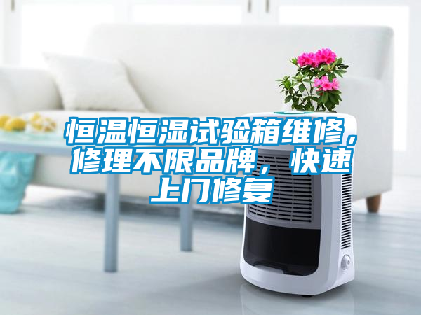恒温恒湿试验箱维修，修理不限品牌，快速上门修复