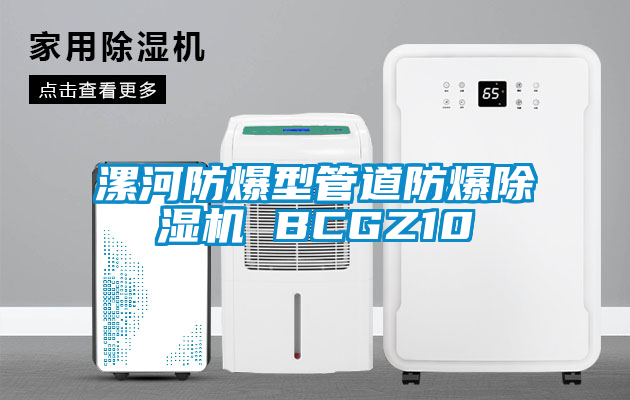漯河防爆型管道防爆除湿机 BCGZ10