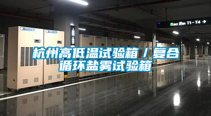 杭州高低温试验箱／复合循环盐雾试验箱