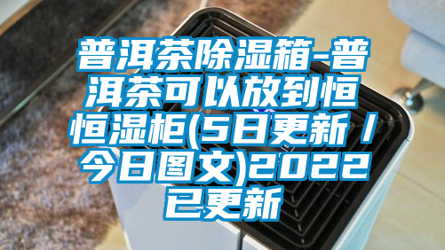 普洱茶除湿箱-普洱茶可以放到恒恒湿柜(5日更新／今日图文)2022已更新