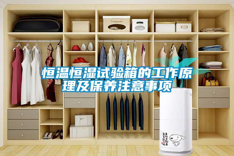 恒温恒湿试验箱的工作原理及保养注意事项