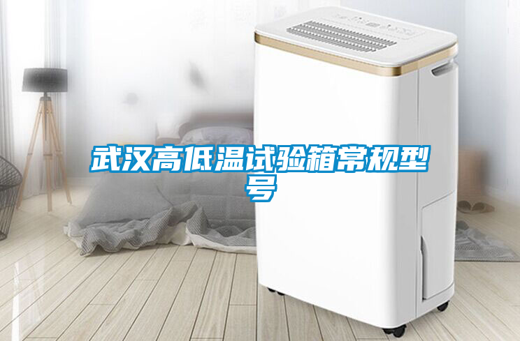 武汉高低温试验箱常规型号