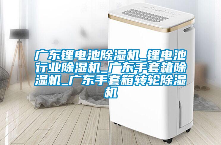 广东锂电池除湿机_锂电池行业除湿机_广东手套箱除湿机_广东手套箱转轮除湿机