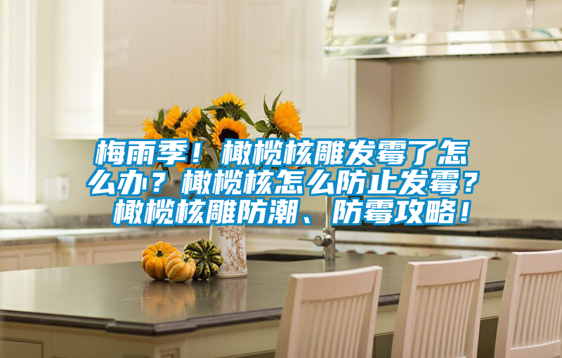 梅雨季！橄榄核雕发霉了怎么办？橄榄核怎么防止发霉？ 橄榄核雕防潮、防霉攻略！