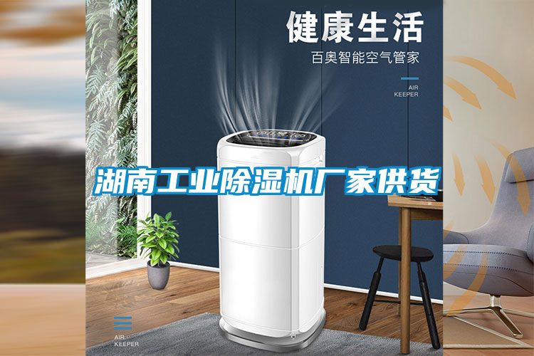 湖南工业除湿机厂家供货
