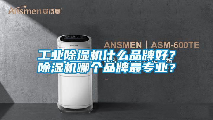 工业除湿机什么品牌好？除湿机哪个品牌最专业？